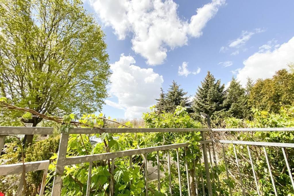 Apartment Am Auensee Mit Grosser Terrasse & Privat-Parkplatz Λειψία Εξωτερικό φωτογραφία